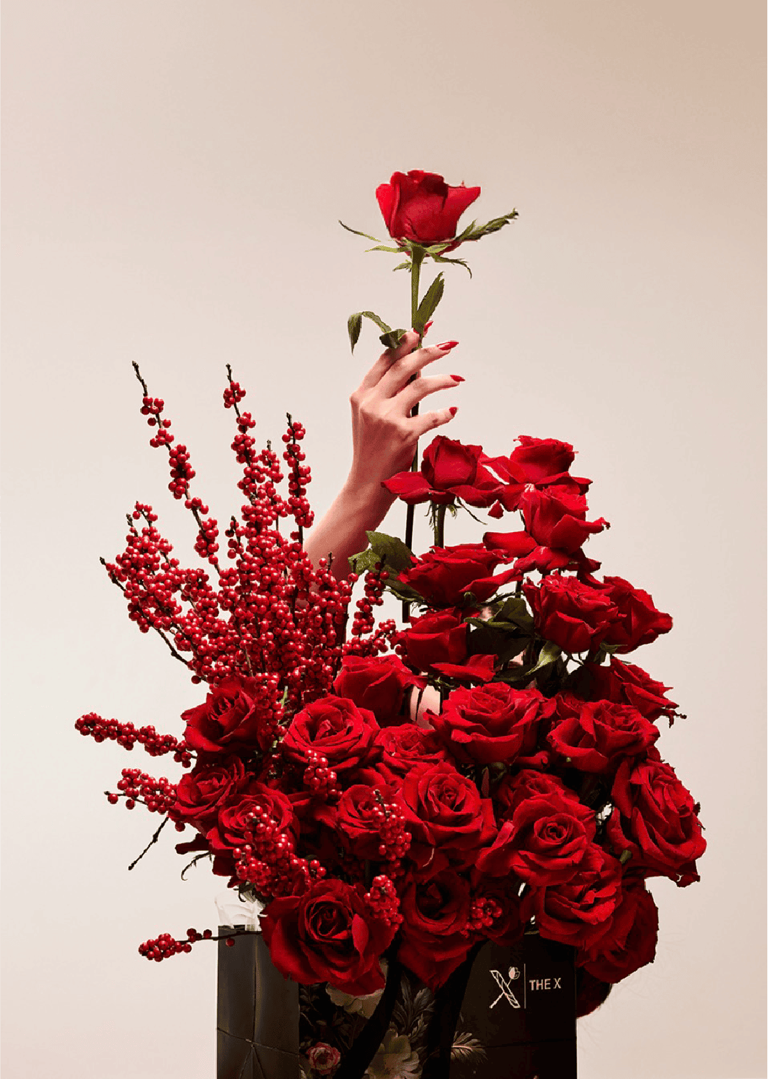 Promotional Campaign 33